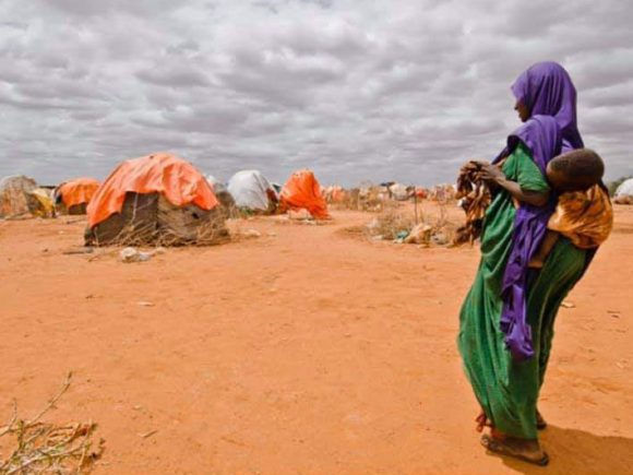 Needs and Vulnerability assessment Report