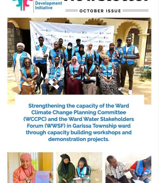 CFLI Project Newsletter – October Issue