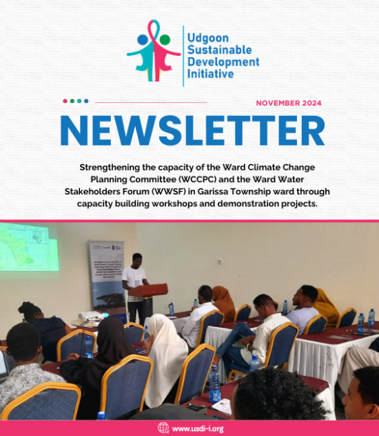CFLI Project Newsletter – November Issue
