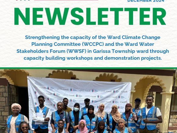 CFLI Project Newsletter – December Issue